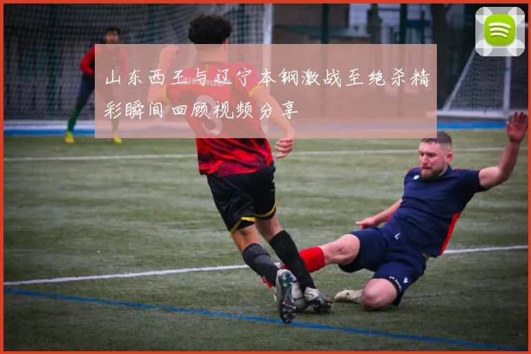 山东西王与辽宁本钢激战至绝杀精彩瞬间回顾视频分享